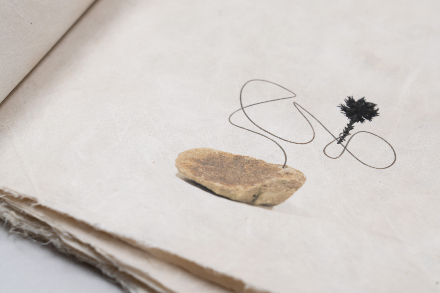 compostition of fragility