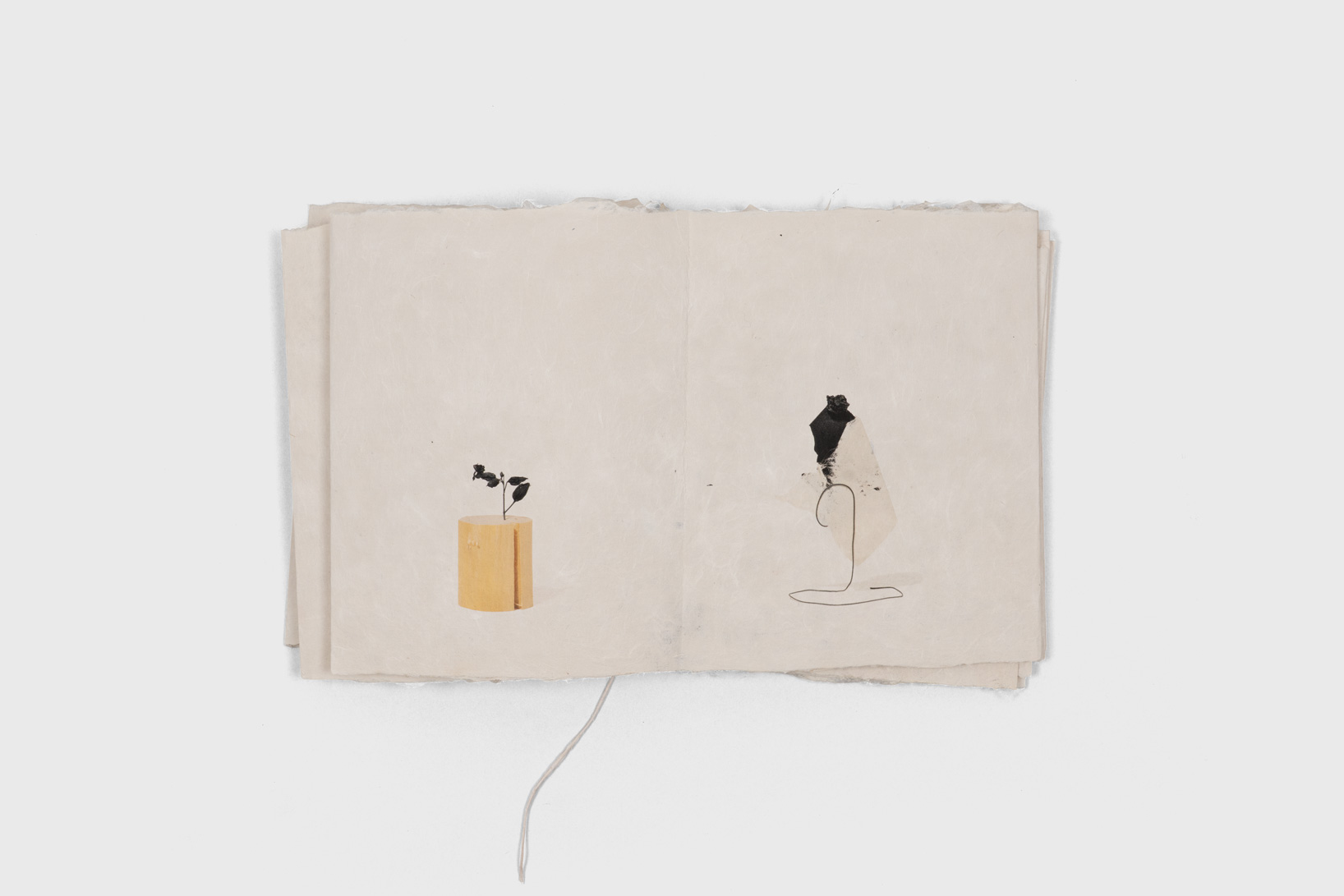 compostition of fragility