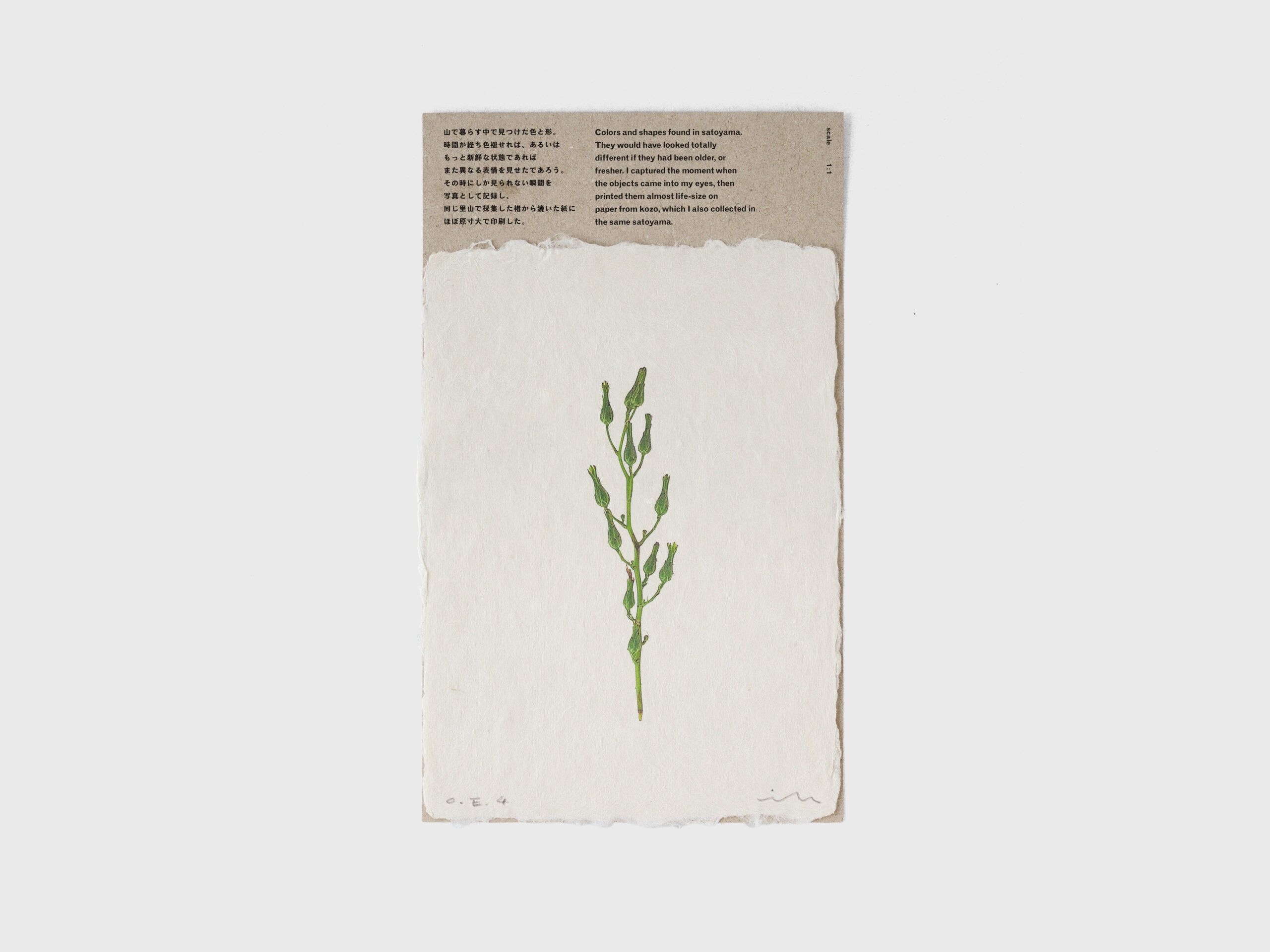 萌