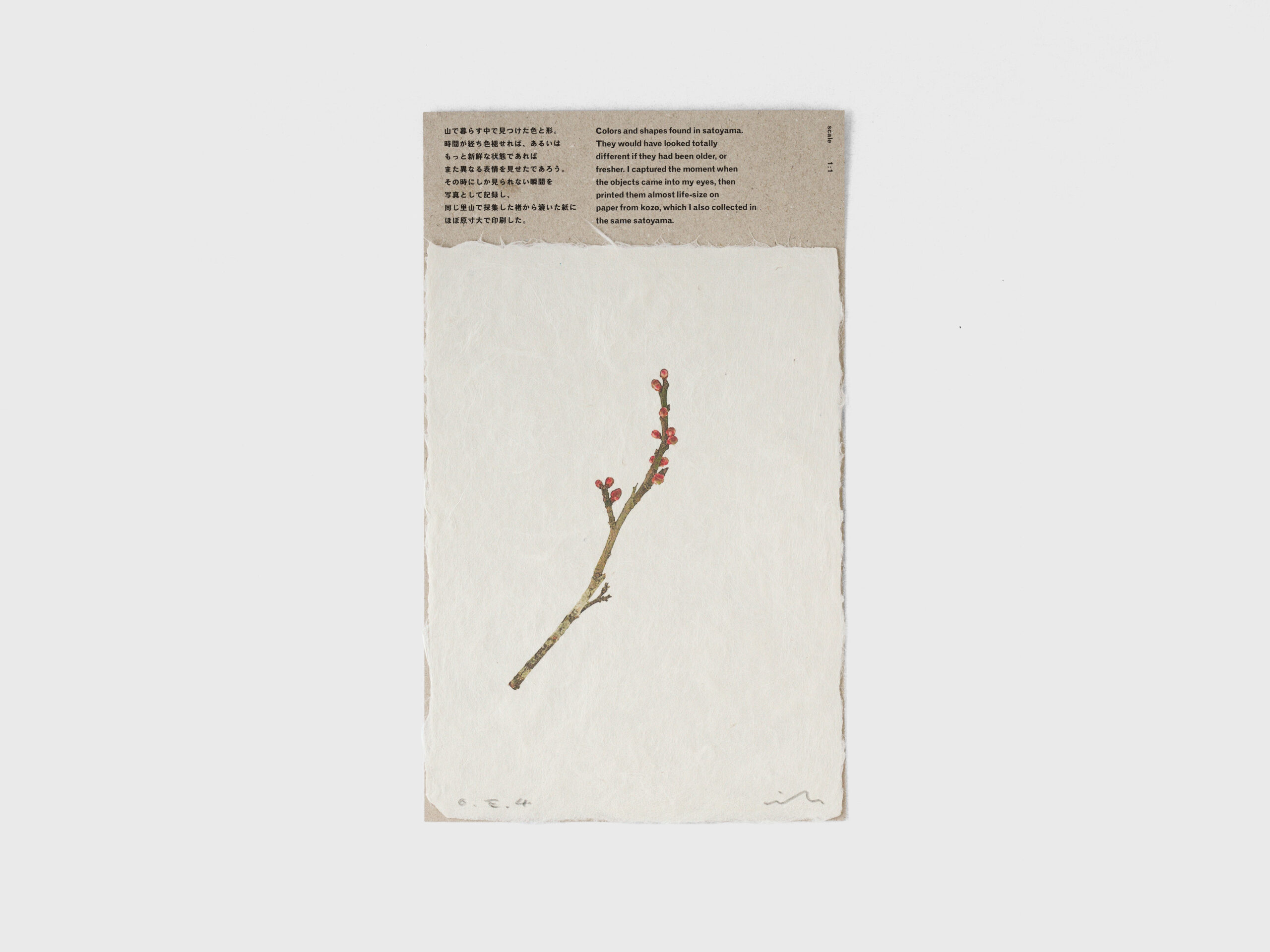 春